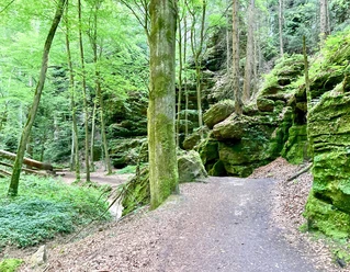 Wanderweg im Utttewalder Grund