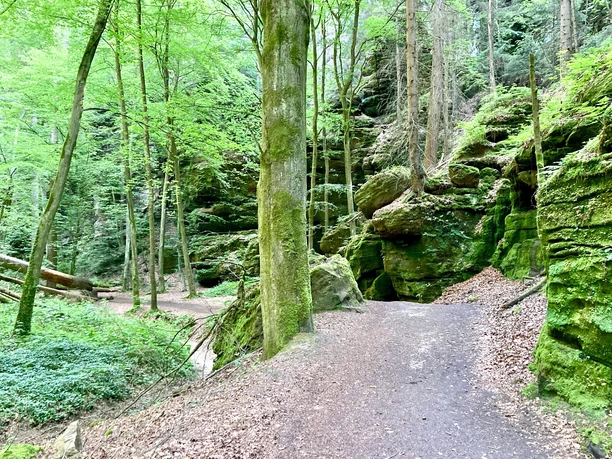 Wanderweg im Utttewalder Grund