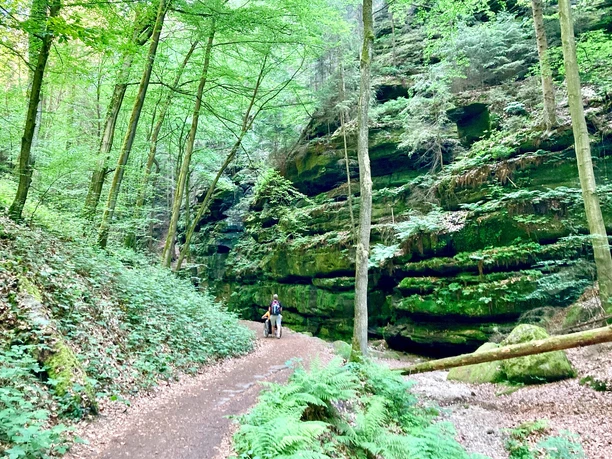 Barrierfrei wandern im Uttewalder Grund