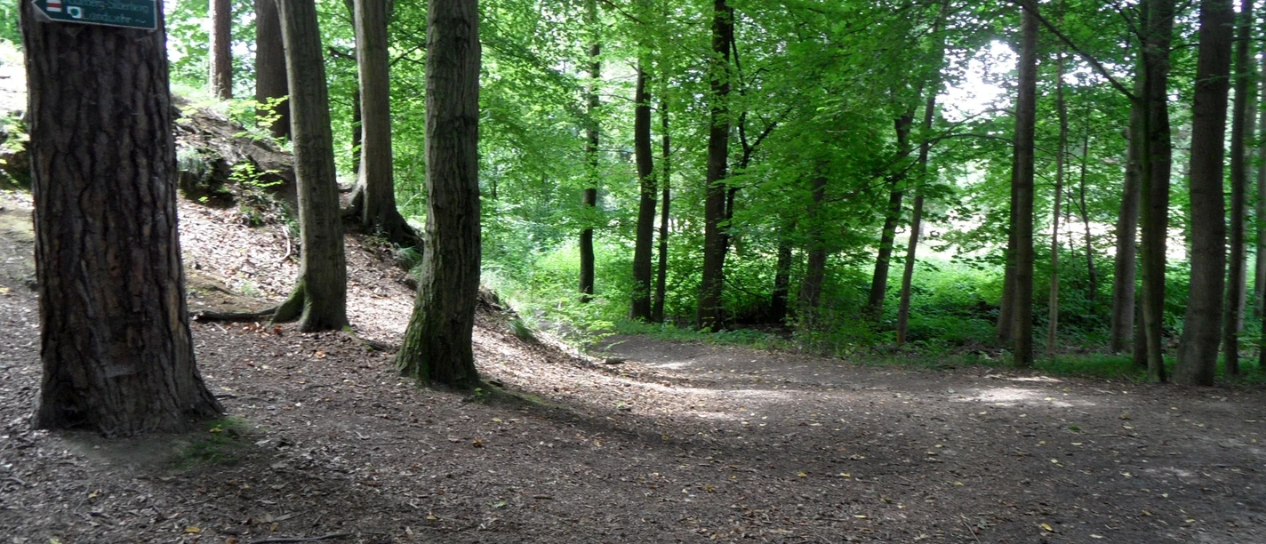 Weg in Liegau-Augustusbad