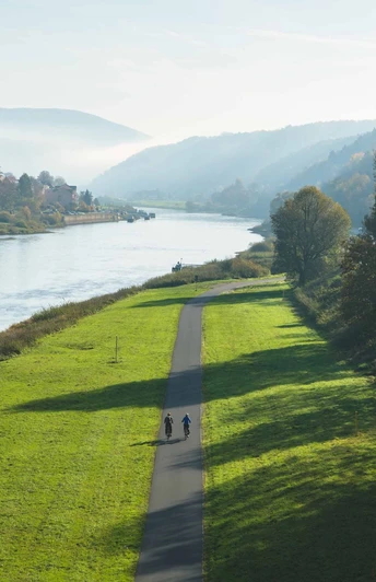 Panoramablick von der Stadtbrücke auf Bad Schandau mit dem Elberadweg