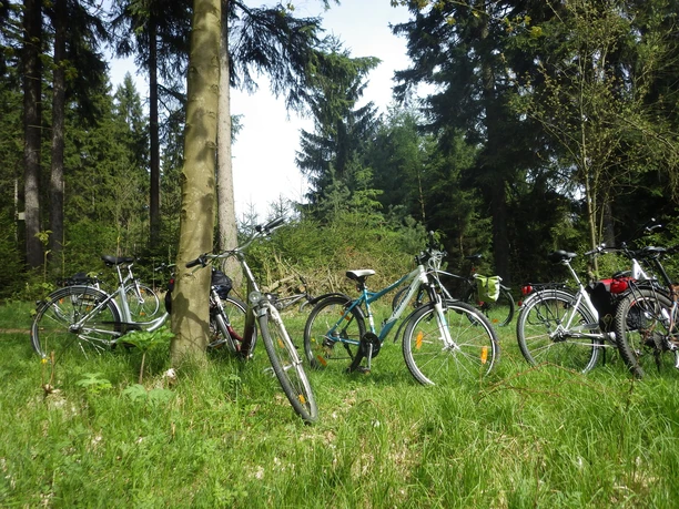 Am Taubenteich