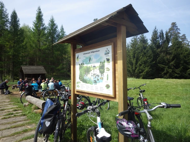 Infotafel und Rastplatz am Taubenteich