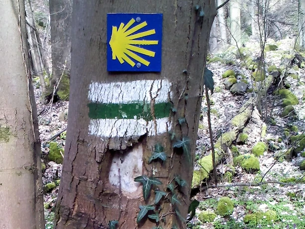 Markierung auf dem Sächsischen Jakobsweg