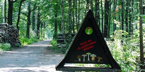 Oberholz Großpösna