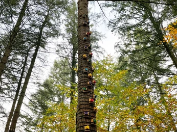 Kletterwald Nord Kletterwald NordClimbing Forest NorthKlatring i den nordlige skovKlimbos Noord