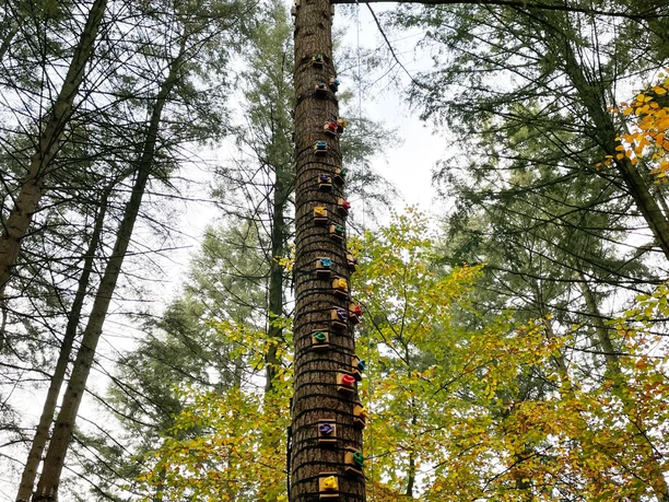 Kletterwald Nord Climbing Forest North
