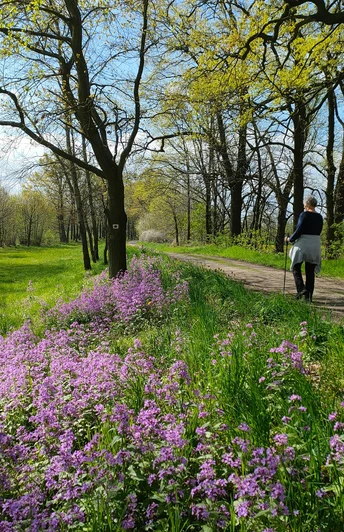 Nordic Walking am Oberlausitzer Ringweg am Neuteich