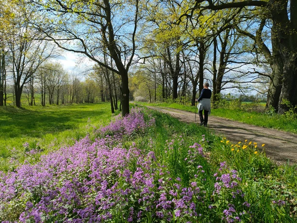 Nordic Walking am Oberlausitzer Ringweg am Neuteich