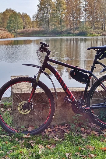 Fahrrad am Waldsee im Neisseland