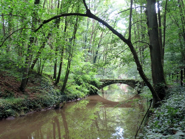 Brücke über die Wesenitz im Liebethaler Grund