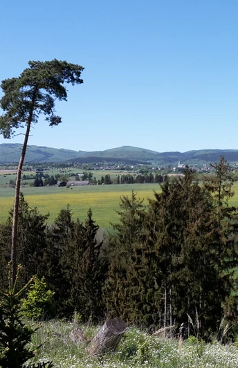 Blick vom Wachtkopf auf Medebach