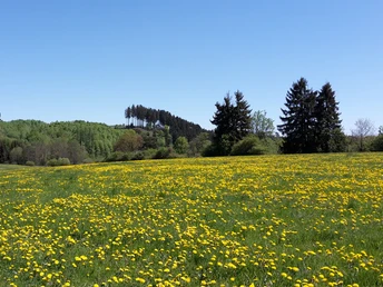 Frühlingswanderung auf dem Faustweg