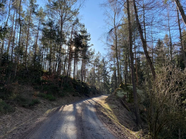 Forststraße zum Zeisigstein