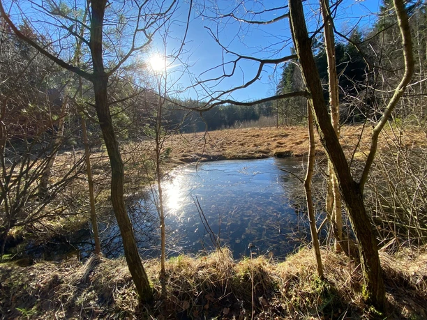 Flächennaturdenkmal Kochemoor