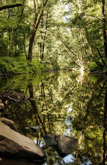 Malerische Röder in Radeberg