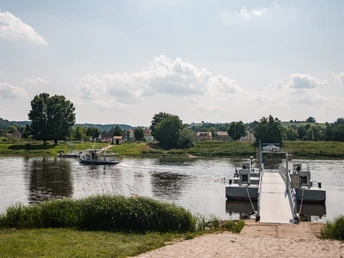 Fähre Coswig-Kötitz