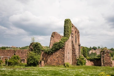Klosterruine "Heilig Kreuz" bei Meißen
