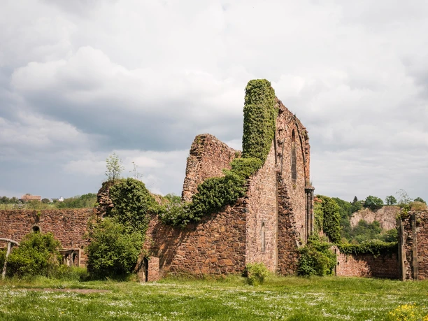 Klosterruine "Heilig Kreuz" bei Meißen