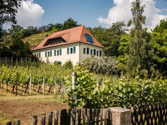 Winzerhaus am Boselweg in Sörnewitz