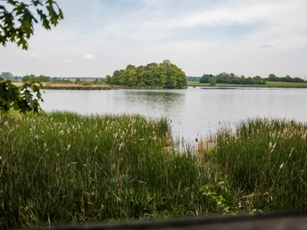 Am Frauenteich Moritzburg