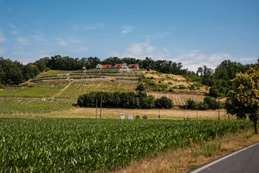 Winzerhof Golk
