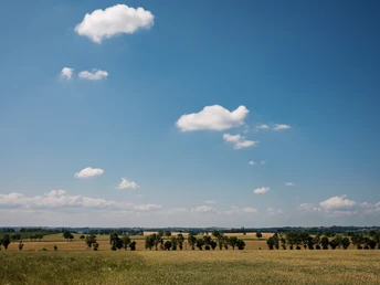 Weitsichten - hier bei Ockrilla