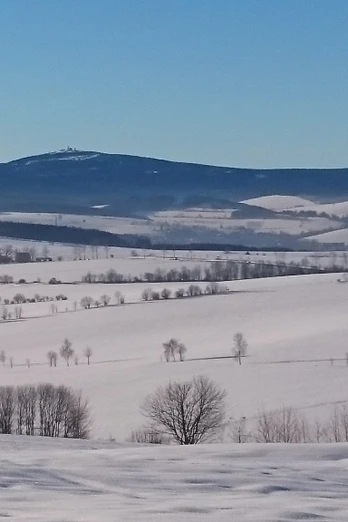 Blick zum Fichtelberg