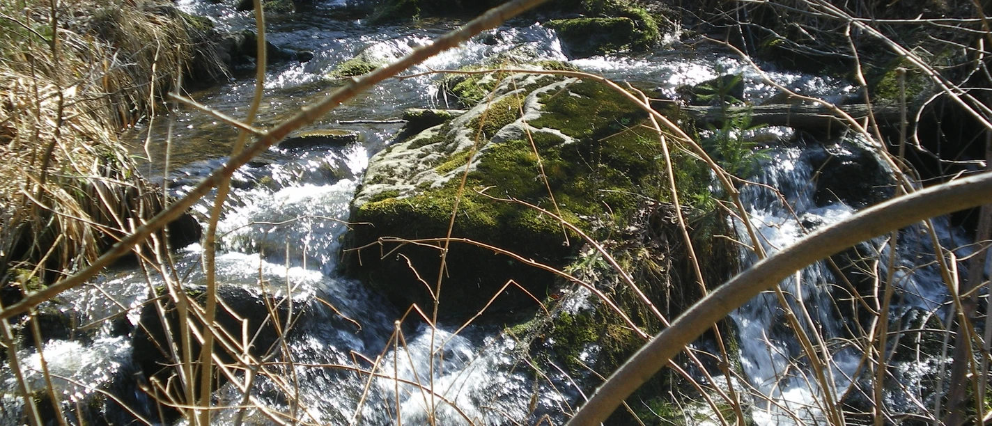 Entdeckertour auf dem Naturlehrpfad