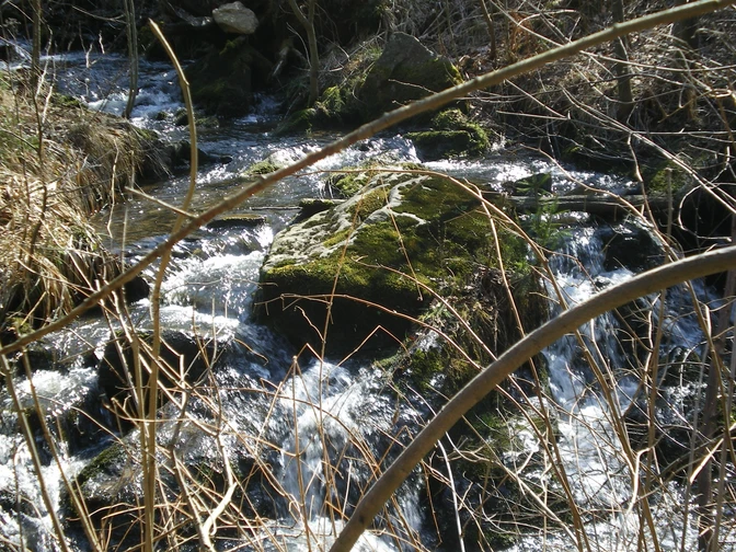 Entdeckertour auf dem Naturlehrpfad