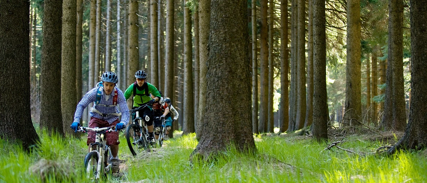 Biken im Westerzgebirge, Trailcenter Rabenberg