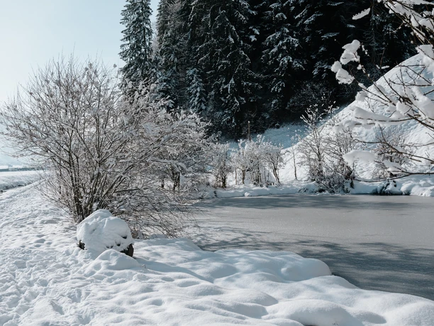 S'évader de la vie quotidienne et se ressourcer dans les paysages enneigés de l'hiver
