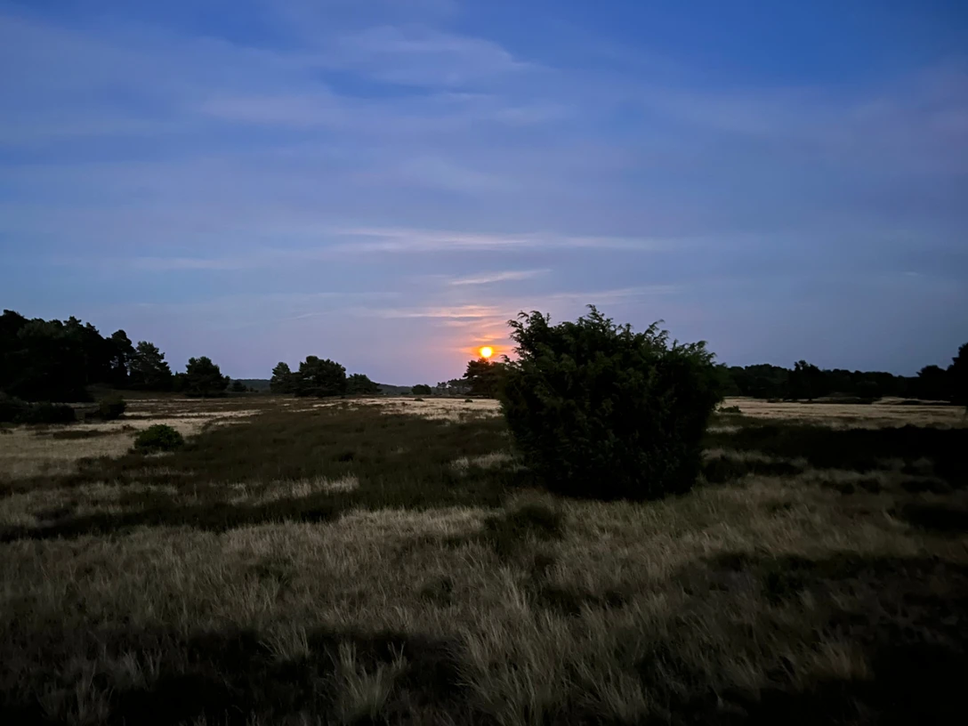 Vollmondwanderung-Heidschnuckenweg-Bispingen-Touristik.jpg Vollmond über einer Heidefläche in der Lüneburger Heide