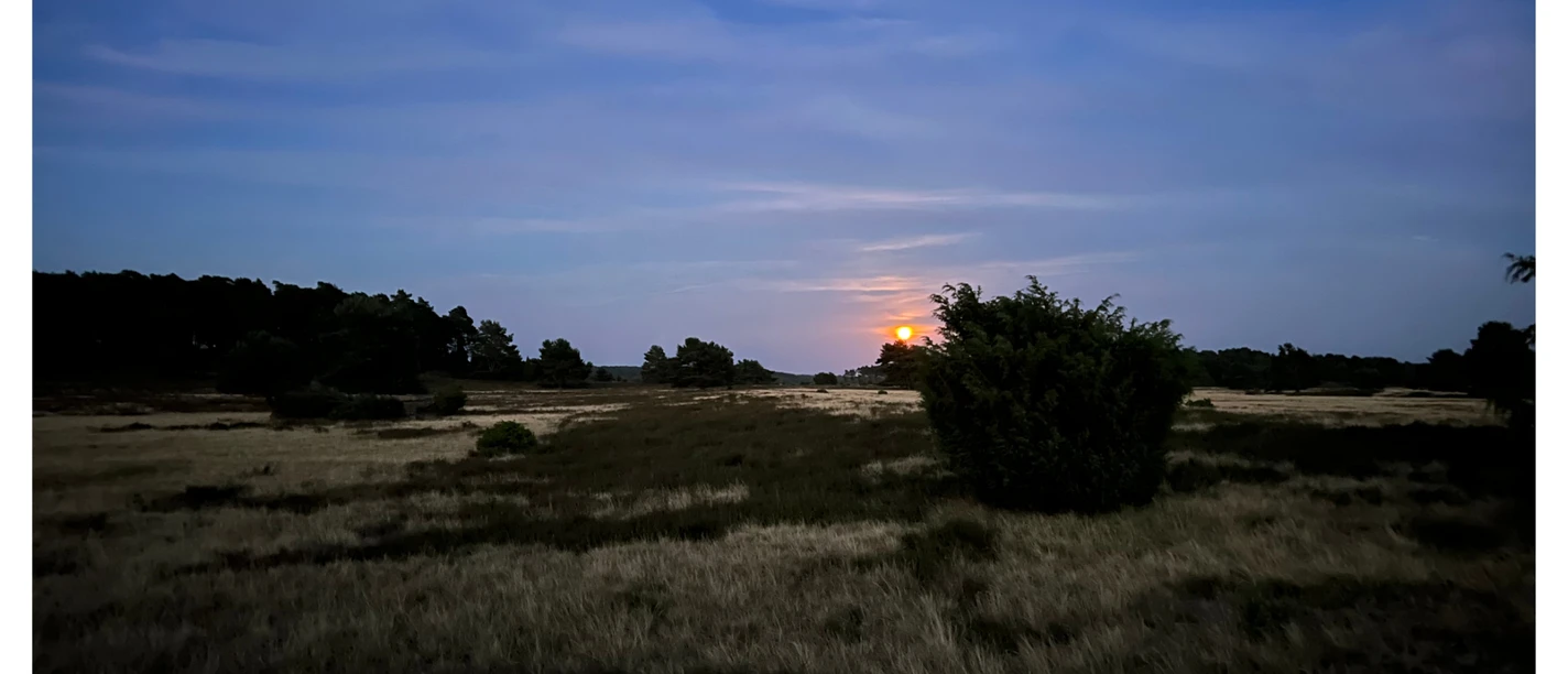 Vollmondwanderung-Heidschnuckenweg-Bispingen-Touristik.jpg Vollmond über einer Heidefläche in der Lüneburger Heide