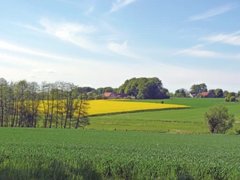 Landschaft im Ravensberger Hügelland mit weiten Feldern, Bäumen und vereinzelten Gehöften unter blauem Himmel.