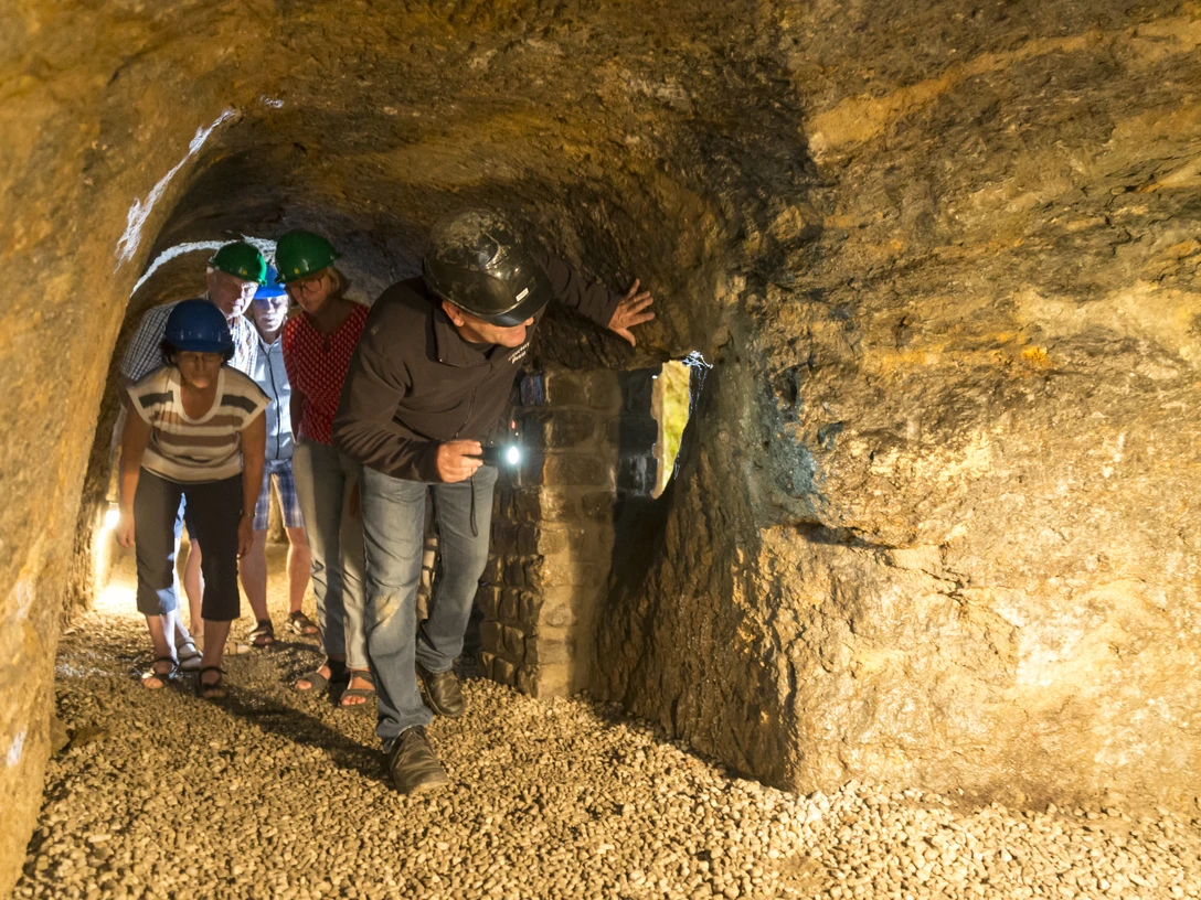 Penig_Kellerberge_(c)BUR Werbeagentur GmbH _CC BY-ND (13).jpg