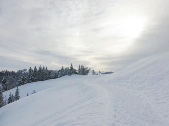 Aktivitaeten-Naturgebiete-Ahorn-Wandern-Winter-WT-122020-2.jpg Ahorn im Winter