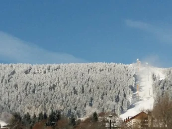 Blick auf den Fichtelberg