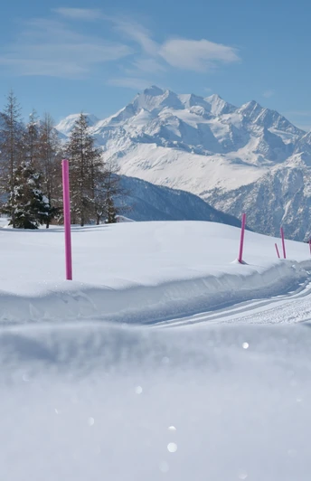Langlauf auf der Riederalp in der Aletsch Arena