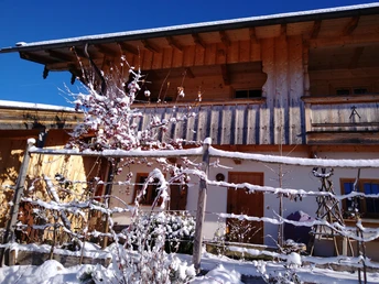 IMG_20221218_115652696