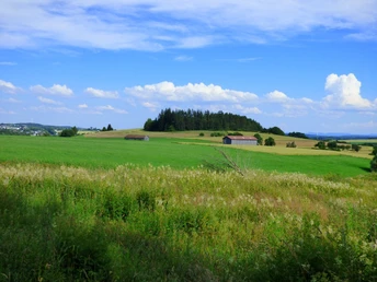Der Forchenkopf vom Ostweg aus, Nähe Sportplatz Wittlensweiler