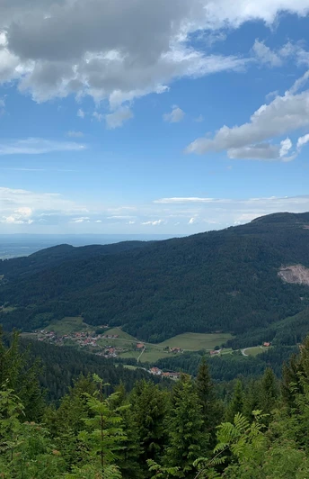 Blick ins Tal beim Vogelskopf