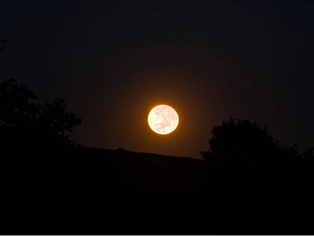 vollmondwanderung-bispingen-touristik.png Vollmond in der Lüneburger Heide