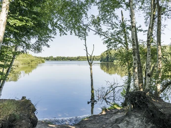 Lake in the Maschen moor Landschaftsschutzgebiet See im Maschener MoorLake in the Maschen Moor landscape conservation areaRéserve naturelle du lac du marais de MaschenMeer in het beschermde landschapsgebied Maschen MoorSø i det fredede landskabsområde Maschen Moor