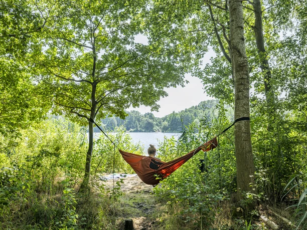 Lake in the Maschen moor Lake in the Maschen moor in the landscape conservation area