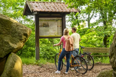 Großsteingrab auf Bruneforths Esch, Stavern – Radfahren Hümmling ©Emsland Tourismus GmbH (5).jpg Zwei Personen mit Fahrrädern betrachten eine Infotafel am Großsteingrab im grünen Waldgebiet.
