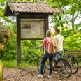 Großsteingrab auf Bruneforths Esch, Stavern – Radfahren Hümmling ©Emsland Tourismus GmbH (5).jpg Zwei Personen mit Fahrrädern betrachten eine Infotafel am Großsteingrab im grünen Waldgebiet.
