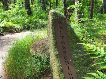 Infogarten Lorup_Book_Aufnahme NF ©Naturpark Hümmling (39).jpg Großer Stein mit Metalltafel im Wald, darauf Schriftzug „Weltgeschichte“, umgeben von grüner Vegetation.
