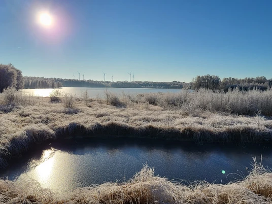 Naturschutzgebiet Theikenmeer, Werlte - Blick auf Meer ©Naturpark Hümmling.jpg