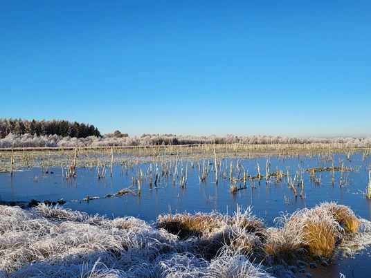 Naturschutzgebiet Theikenmeer, Werlte - Wehmer Dose ©Naturpark Hümmling (2).jpg